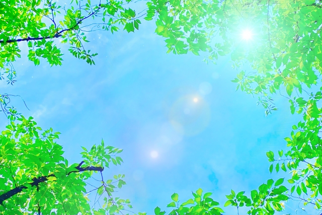 2025年５月の太陽光発電＆売電収入を公開！の画像